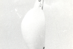 Scan0025