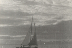 Scan0033